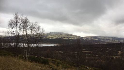 Belive in Trolls? Defenetly worth a visit... And you should see the Norwegian movie Trolljegern (Trollhunter) before or after the visit