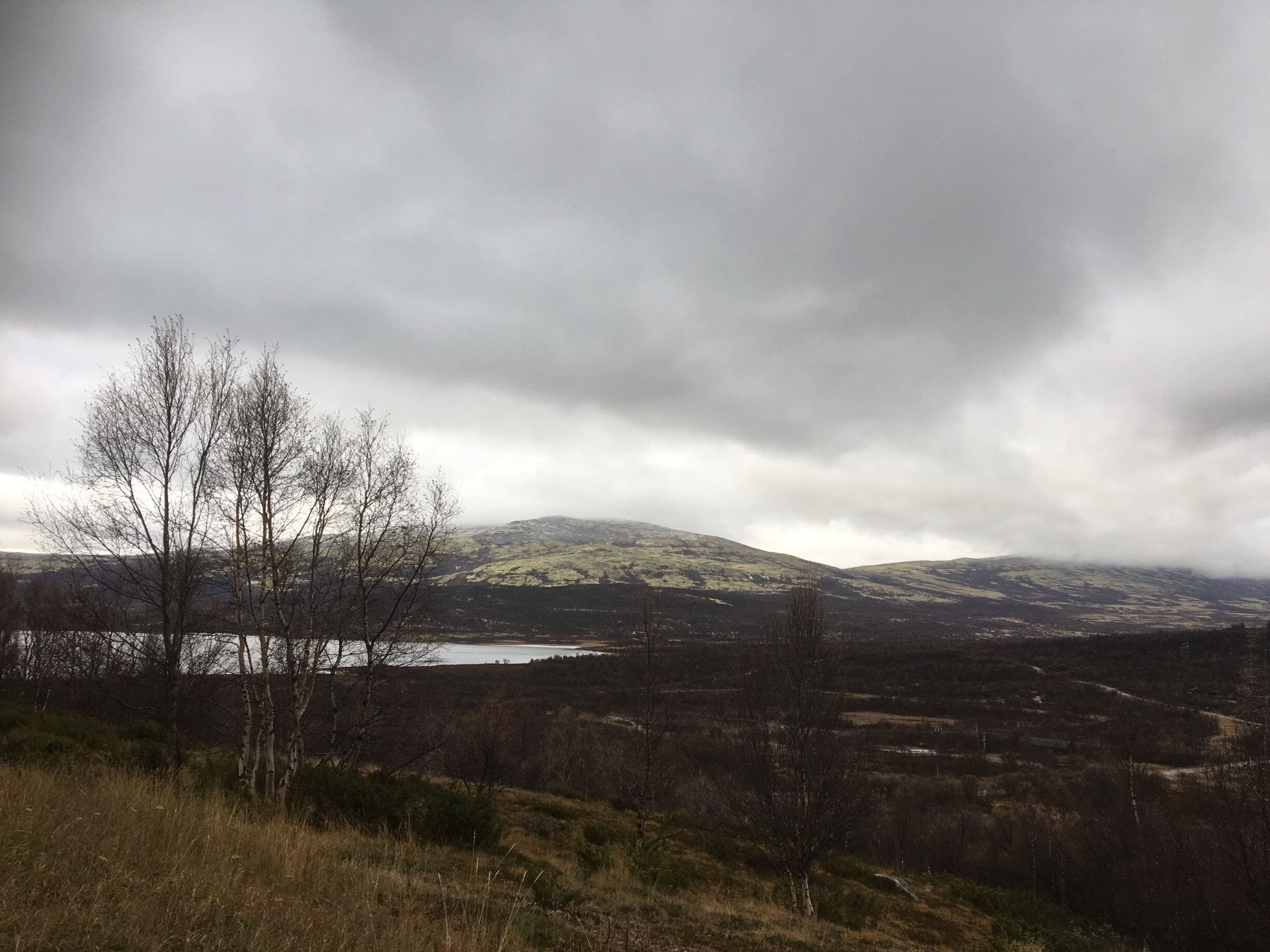 A mountainous landscape with a lake and scattered trees.