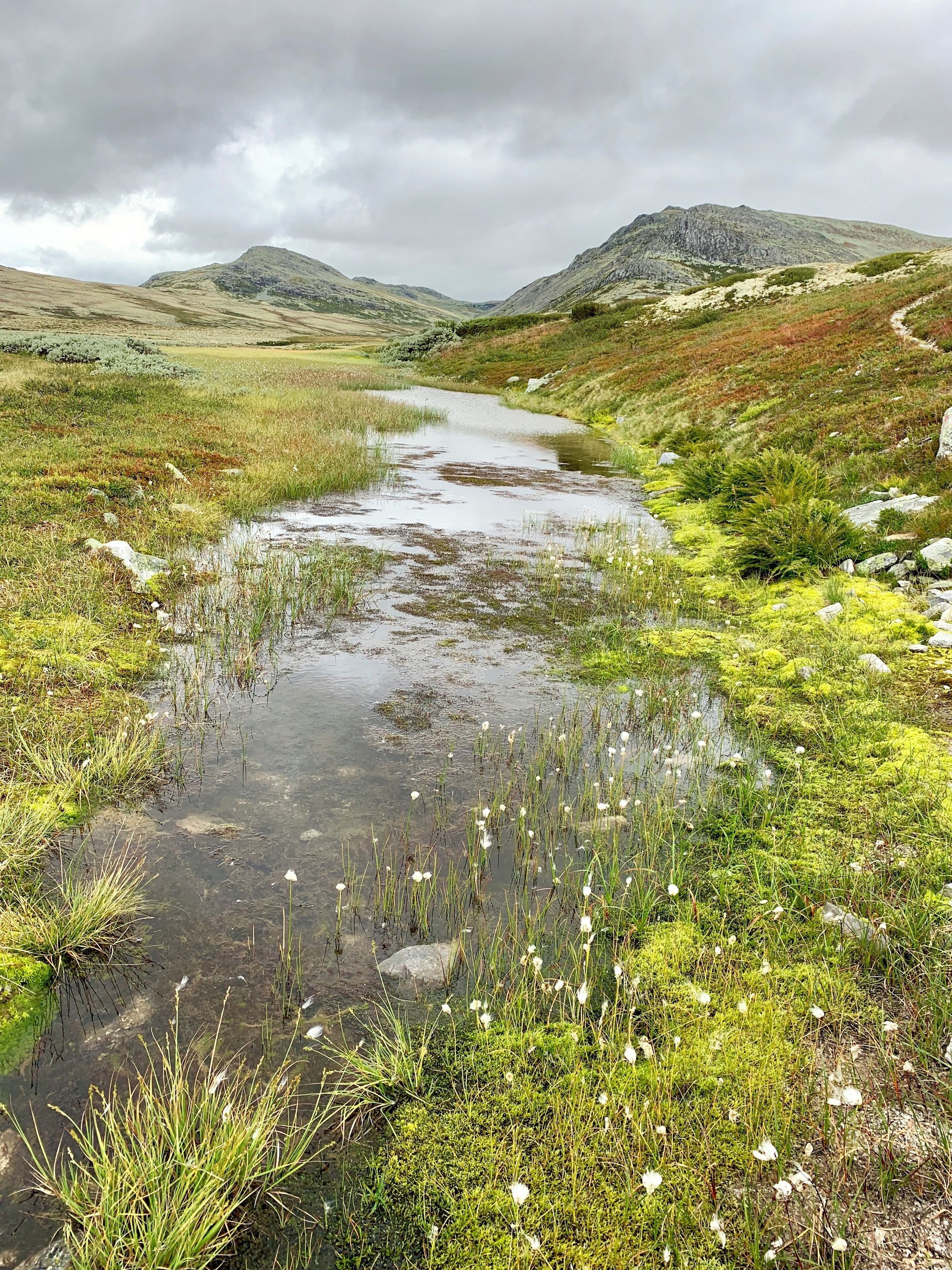 On a 10km hike from Rondvassbu to PeerGynt cabin we had to cross rivers like this #adventure. A grey day but still such a tranquil atmosphere at this place. Not too many other hikers either. The round trip took us 7 hours including the breaks. #utno #nofilter #liveterbestute #hiking