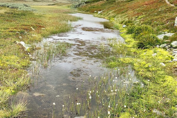 On a 10km hike from Rondvassbu to PeerGynt cabin we had to cross rivers like this #adventure. A grey day but still such a tranquil atmosphere at this place. Not too many other hikers either. The round trip took us 7 hours including the breaks. #utno #nofilter #liveterbestute #hiking