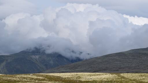 Low clouds #Trovember