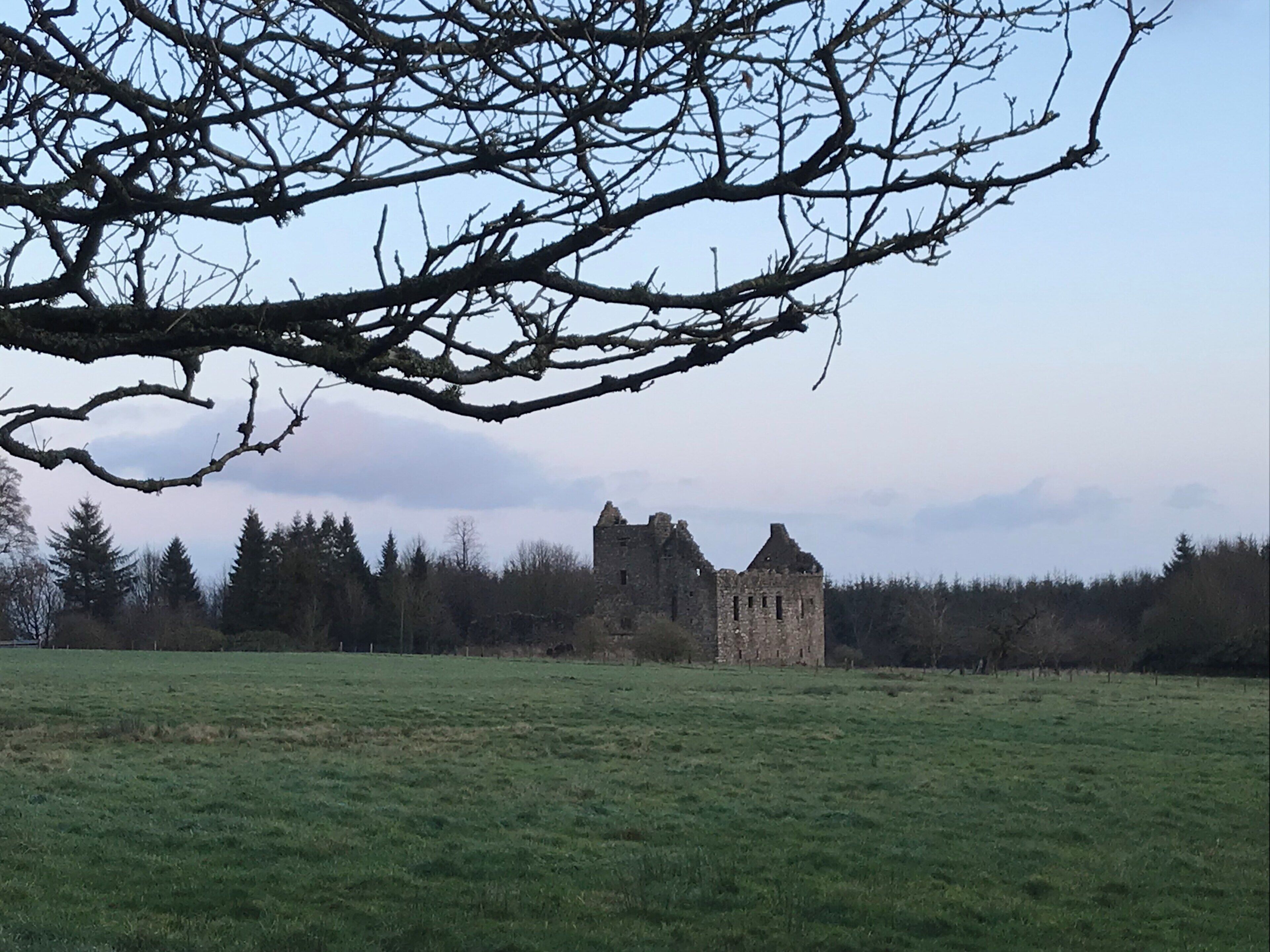 A castle in a grassy field with bare branches overhead.