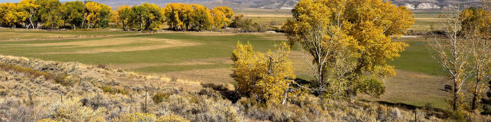 A landscape with autumn-colored trees, a clear blue sky, and distant mountains.