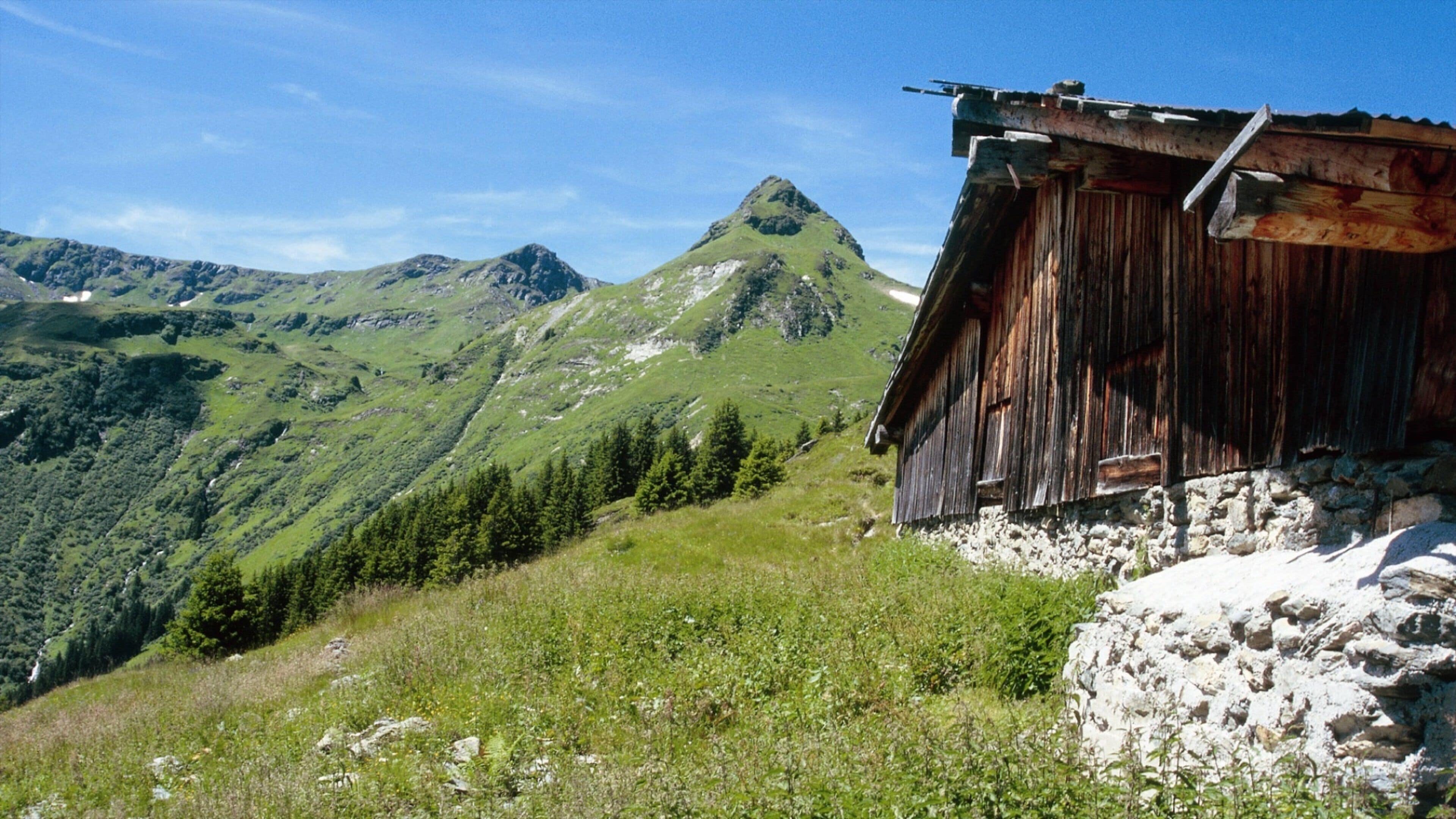 A wooden cabin on a mountain slope with lush greenery and rocky terrain.