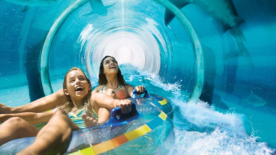 Aquaventure featuring interior views, a water park and rides
