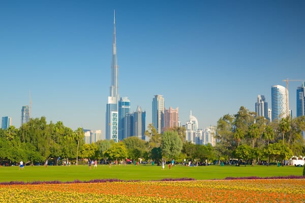 Safa Park featuring a city, a skyscraper and a garden