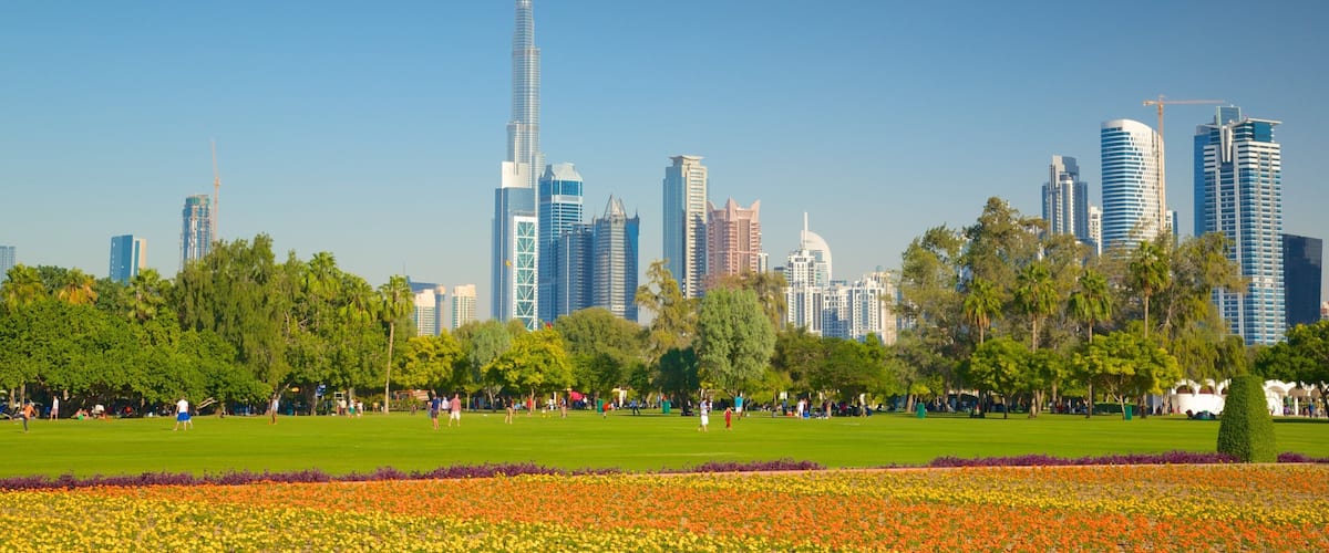 Safa Park featuring a city, a skyscraper and a garden