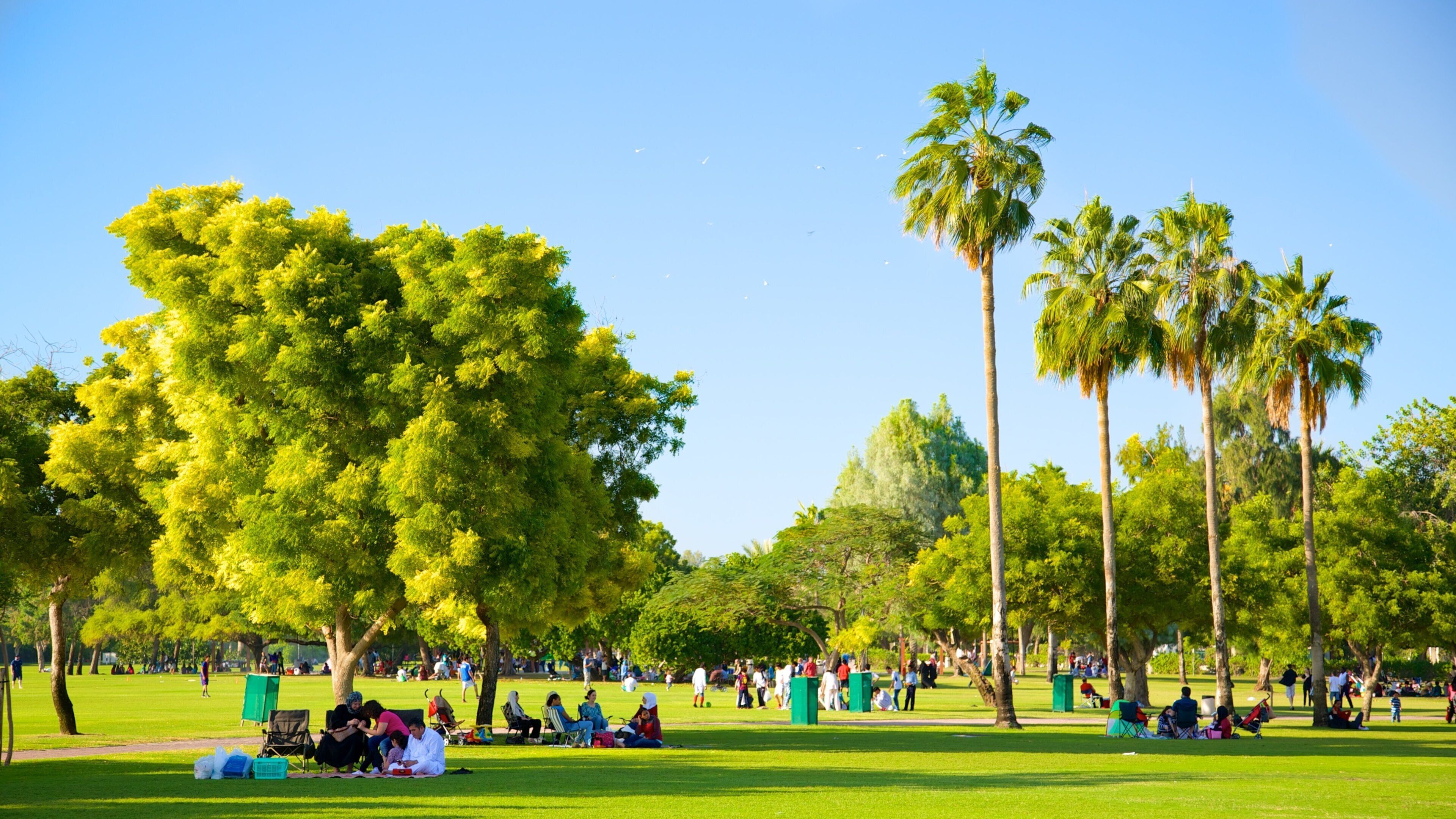 Safa Park which includes picnicking and a garden as well as a large group of people