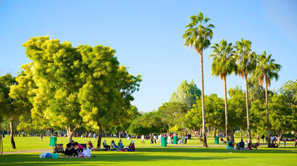 Safa Park which includes picnicking and a garden as well as a large group of people