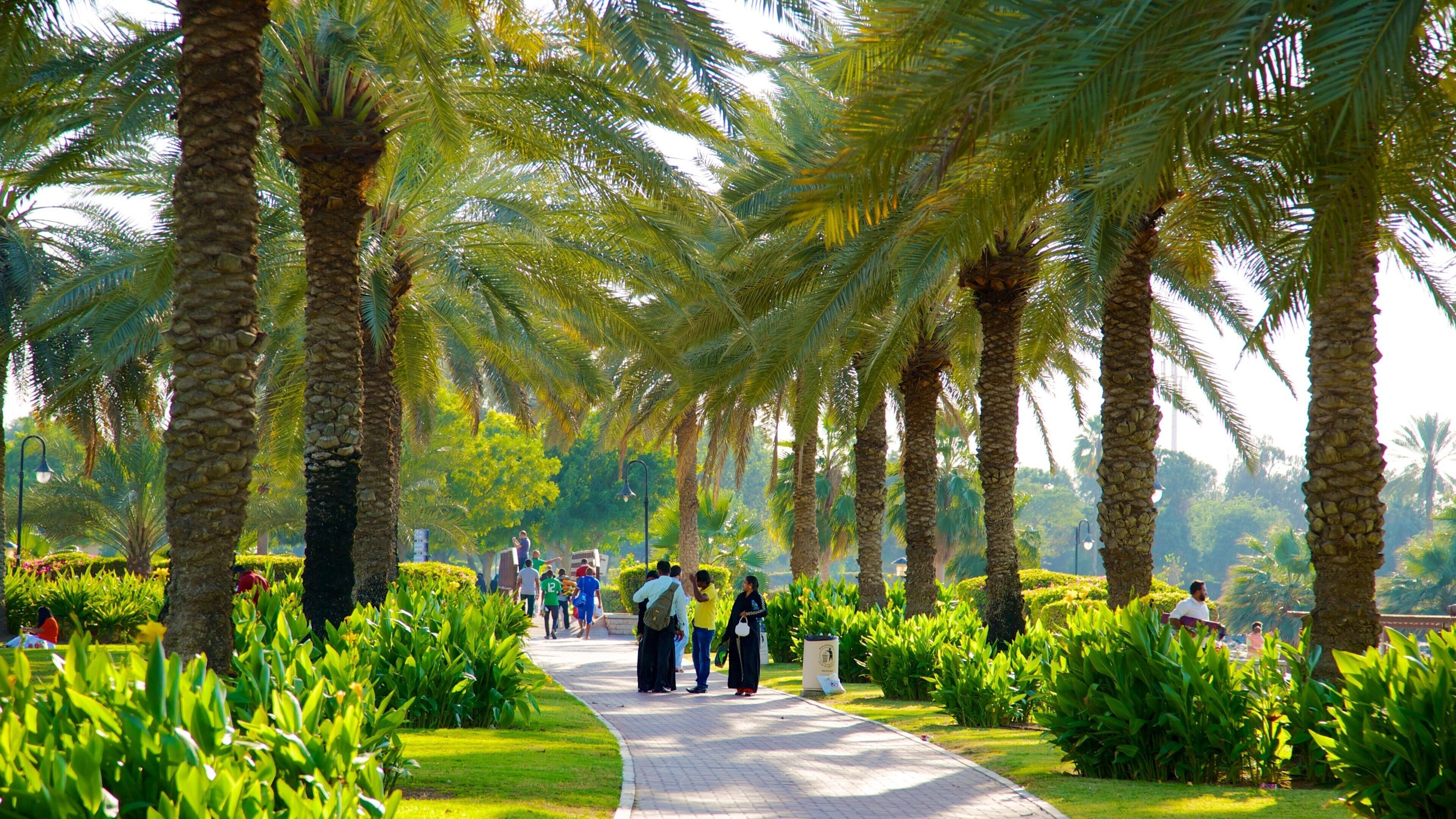 Safa Park featuring a garden