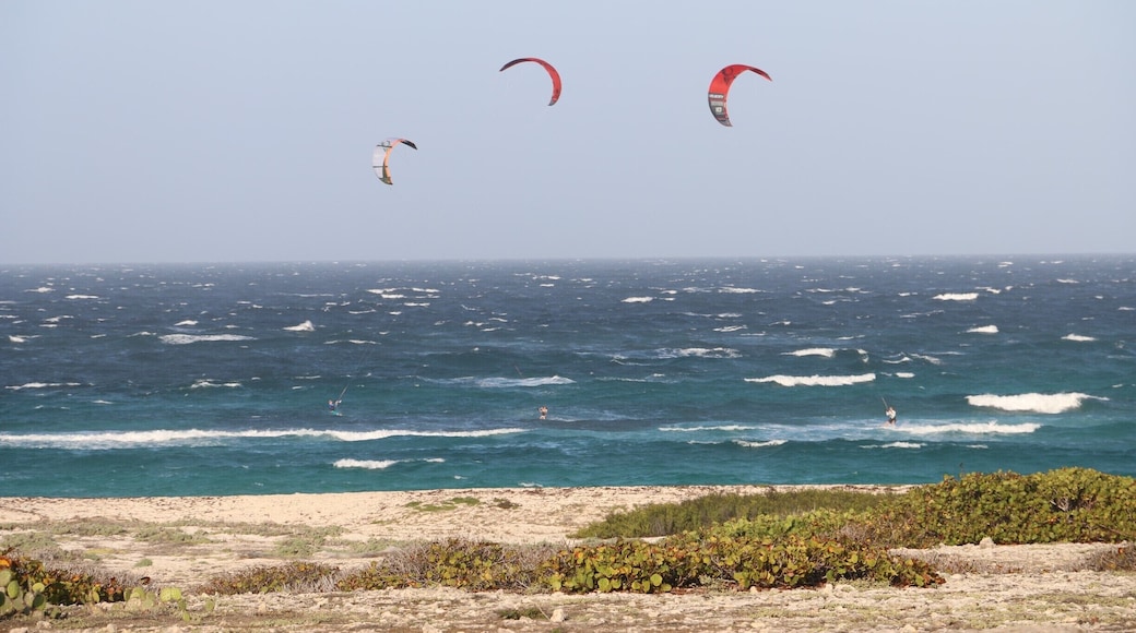 Kite surfing in Aruba.