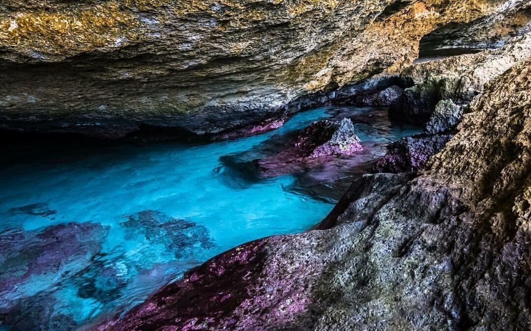 Came across this natural pool on the backside of Aruba while visiting the island. Definitely worth checking out!

#aquatrove