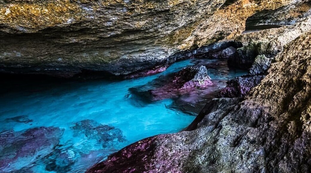 Came across this natural pool on the backside of Aruba while visiting the island. Definitely worth checking out!
#aquatrove