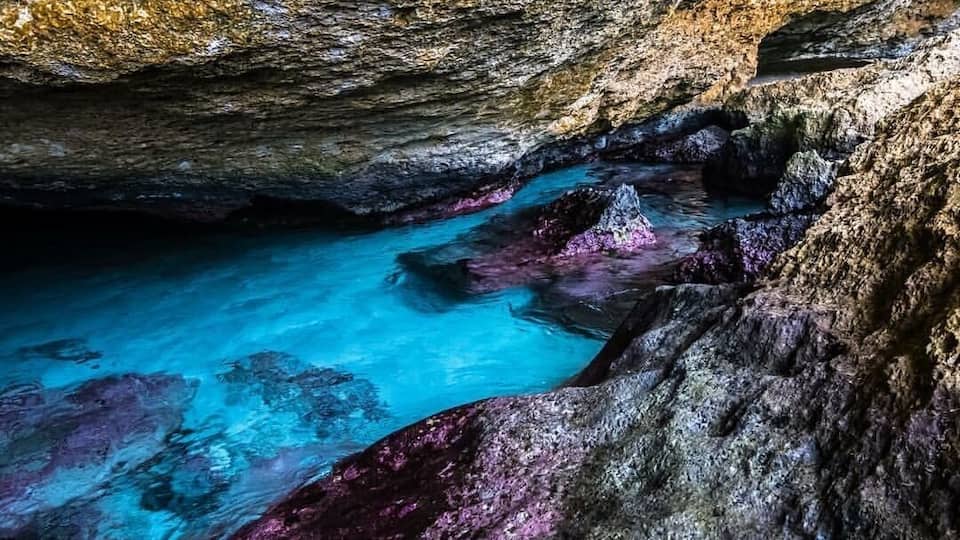 Came across this natural pool on the backside of Aruba while visiting the island. Definitely worth checking out!
#aquatrove