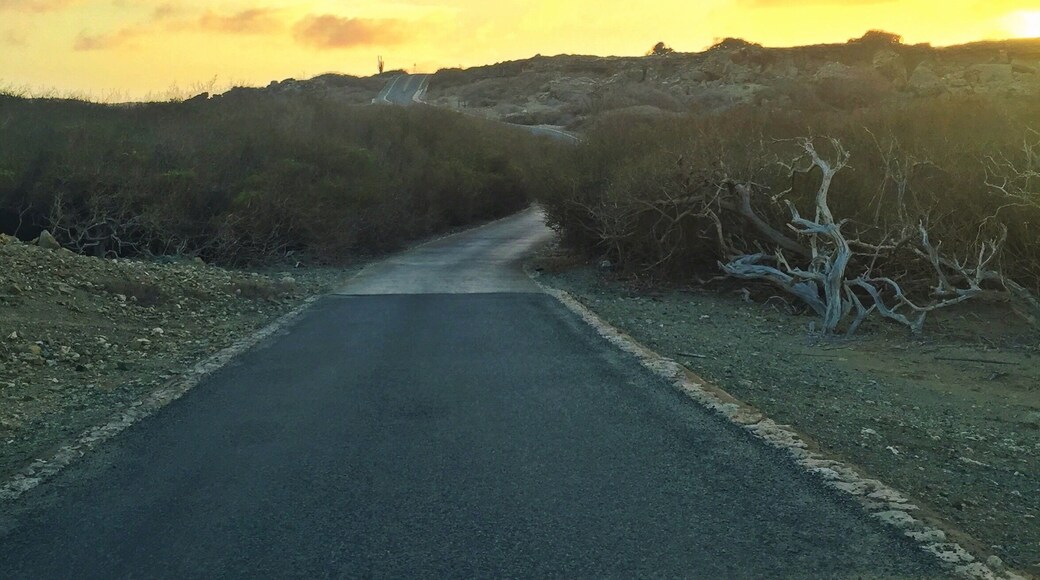 On the road in Arikok National Park leading to the Dos Playa dunes. The sun is almost setting. So many hidden treasures created by nature. Thank God these are being protected.