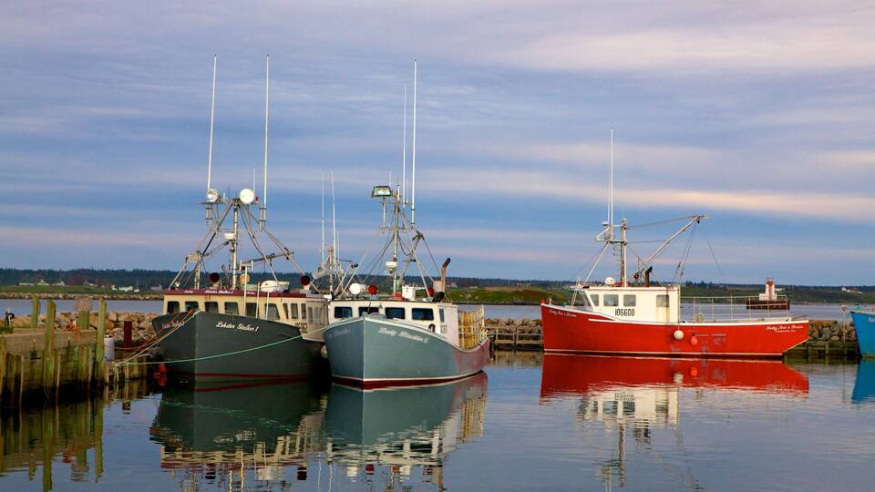 Three fishing boats docked at a harbor with a calm sea and a cloudy sky in the background.