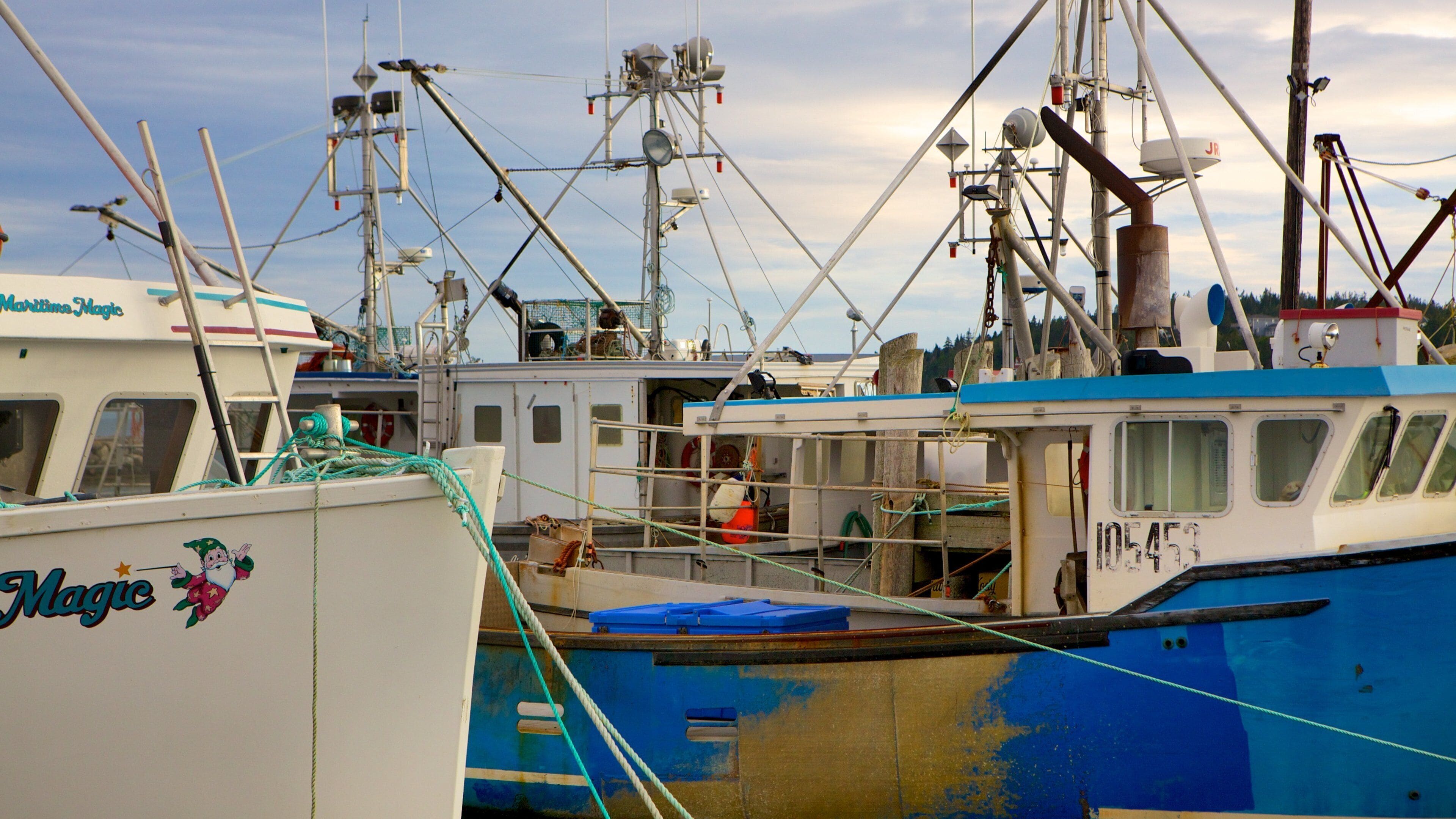 A marina with several fishing boats docked.