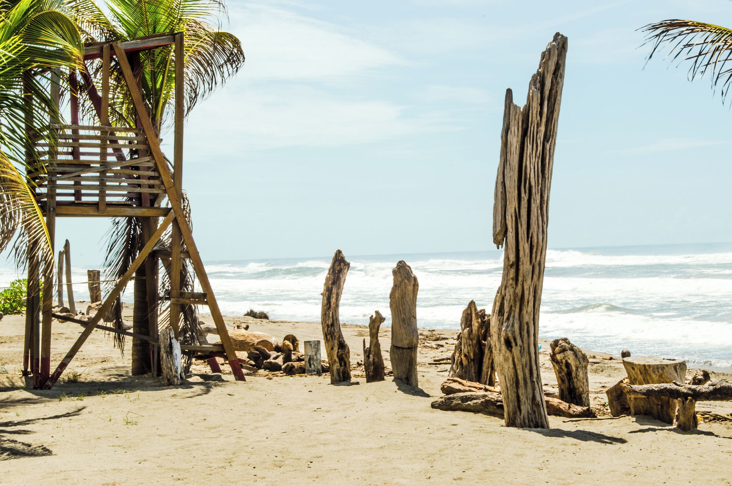 A beach with wooden structures, palm trees, and driftwood.