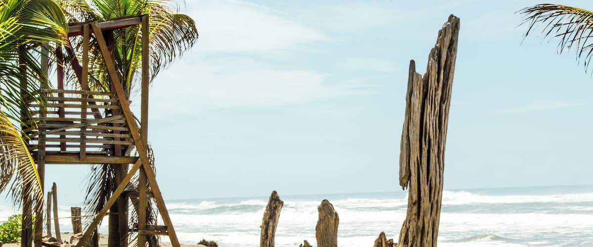 A beach with wooden structures, palm trees, and driftwood.