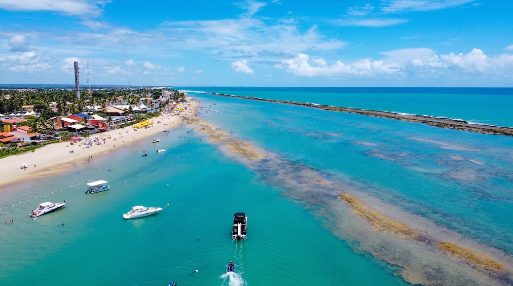 Barra de São Miguel