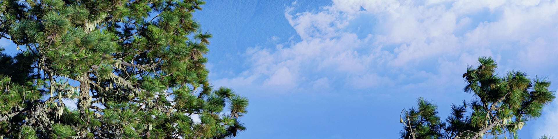 View of the nature environment from the Acatenango Volcano in Alotenango, Guatemala.