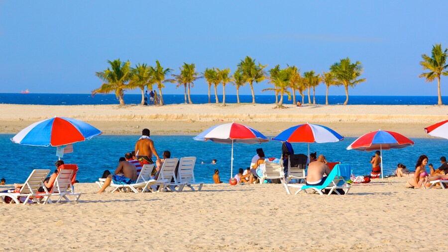 Al Mamzar Beach Park showing tropical scenes and a beach as well as a large group of people