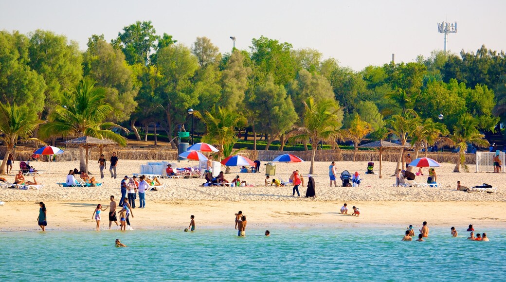Al Mamzar Beach Park showing a sandy beach, tropical scenes and general coastal views