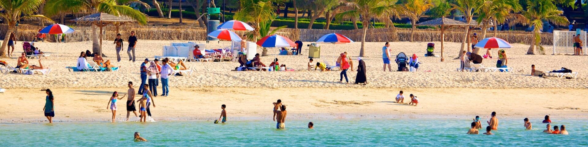 Al Mamzar Beach Park showing a sandy beach, tropical scenes and general coastal views