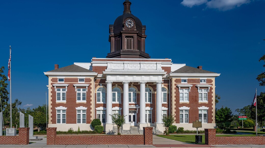 mount vernon, georgia