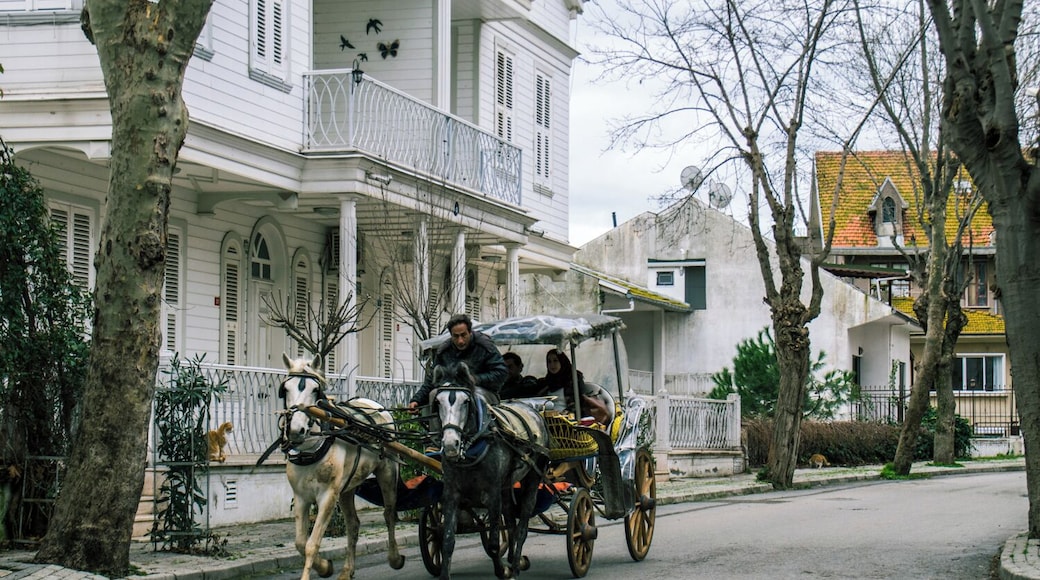 Büyükada's main way of public transportation is bikes and chariots pulled by horses.
Add hundreds of ancient buildings into the equation and you have the perfect combination for an experience out of this era.