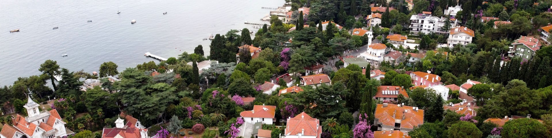 Aerial view with drone over Büyükada the Princes Island in the Sea of Marmara Turkey Istanbul with many trees and villas. Recreation area