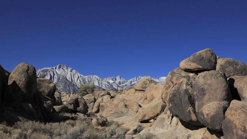 A rocky desert landscape with large boulders and a mountain range in the background.