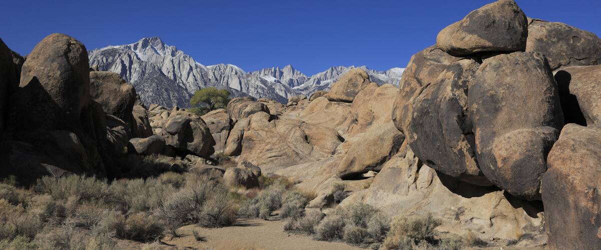 A rocky desert landscape with large boulders and a mountain range in the background.