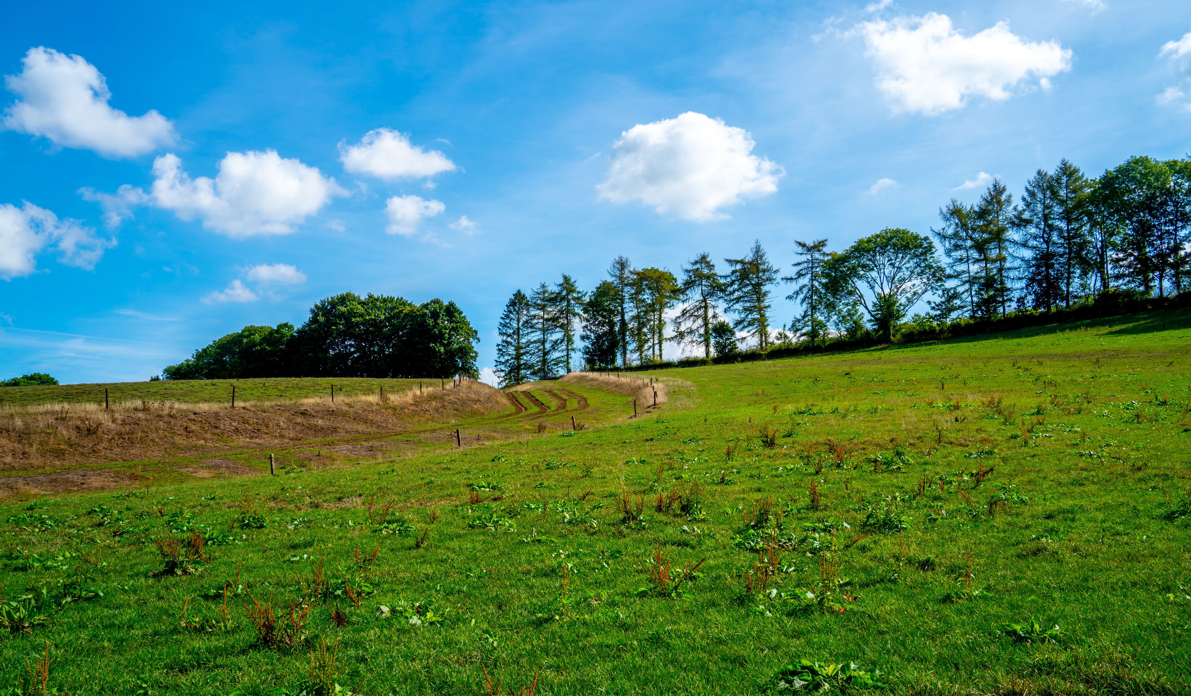 Landscape with meadows at Kelmis, Moresnet, Belgium
