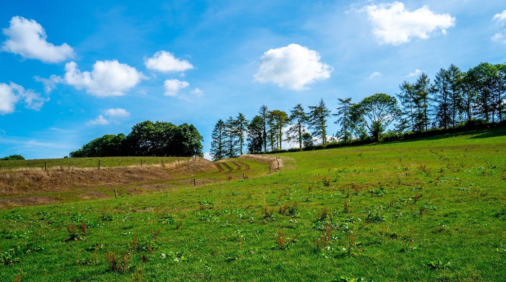 Landscape with meadows at Kelmis, Moresnet, Belgium