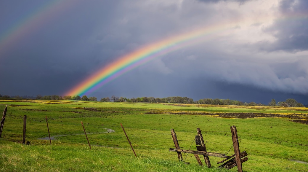 Amazing double rainbow over a tranquil meadow landscape bordered by an old broken barbed wire fence.
