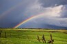 Amazing double rainbow over a tranquil meadow landscape bordered by an old broken barbed wire fence.