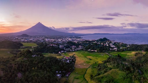 Mayon Volcano with rice flied agriculture sunset sunrise Legazpi City Albay Drone Shoot