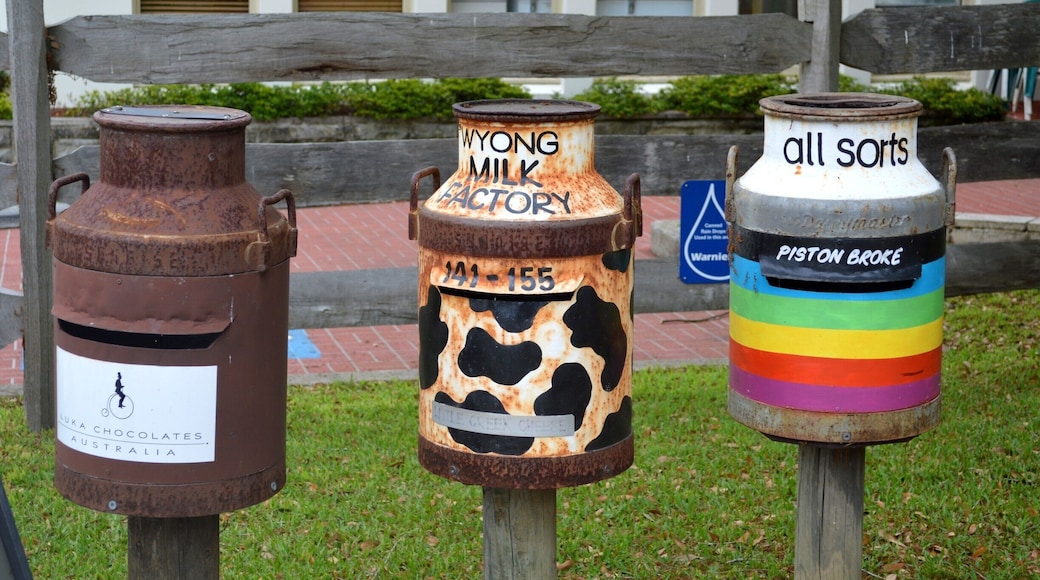 This is a very cool attraction on the Central Coast which is growing and expanding. I love these funky recycled Milk Jugs turned letterboxes.