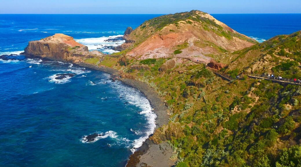 A nice place to visit on Victoria's Mornington Peninsula. A lot of great walks begin here as well, and the lighthouse and the short walk to the cape are quite popular.