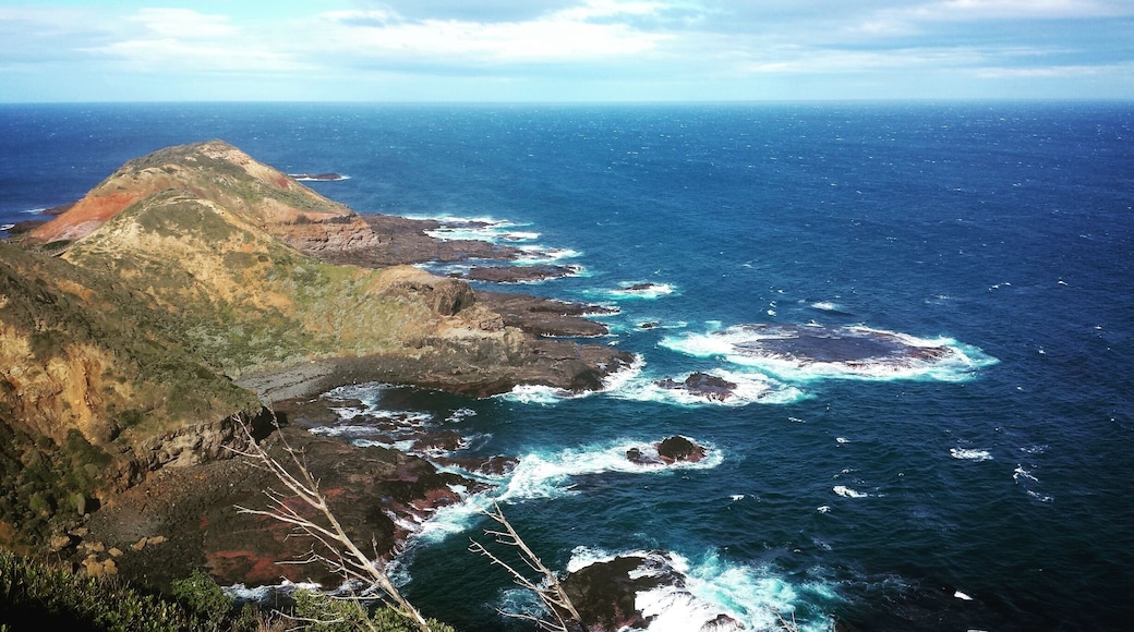 A bit windy but hiking and exploring the tide pools at Cape Schank and Pulpit Rock was worth it.
#LoveMyTown