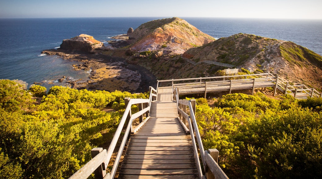 Cape Schanck