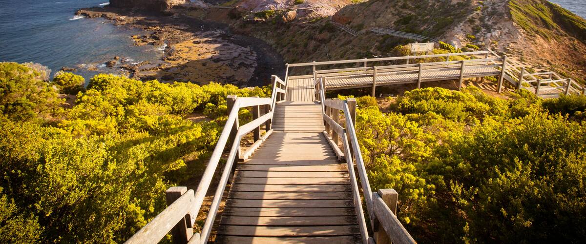 Cape Schanck Boardwalk