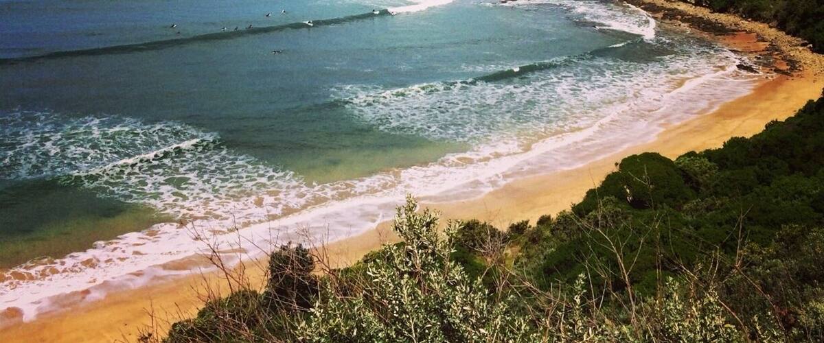 Amazing views from the coastal road. You can see surfers dotted along the cliffs. Not sure what they're up to but be careful of the the rocks! #beachtime #roadtrip