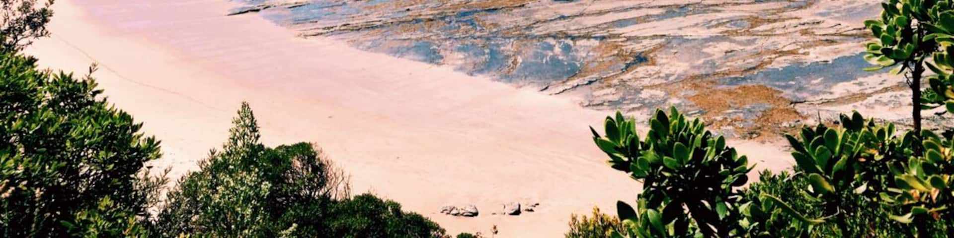 A beach with clear blue water, sandy shore, and green foliage.