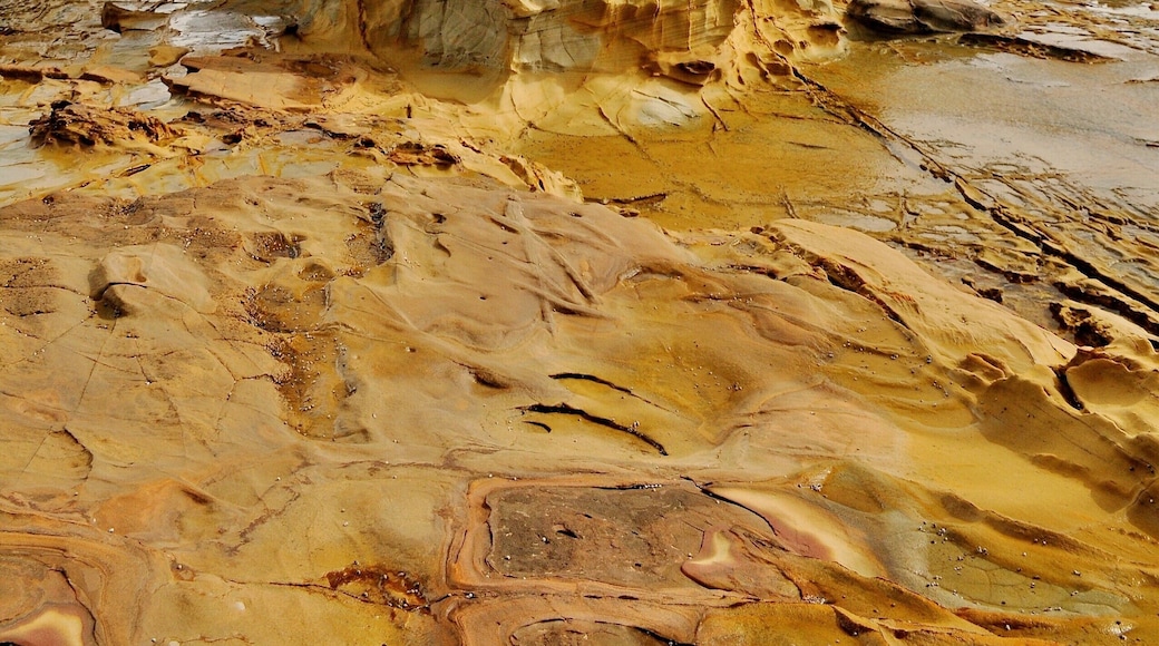 This is a strange section of coastline. Up to 90% of marine things that live here can be found nowhere else on the planet. About 100 kms offshore there are a couple of islands that protect this park from the worst ravages of the Great Southern Ocean so you get seashores that are different.
This feature is called Eagle Rock, a crumbling sandstone bastion in its last stages vefore collapsing.
