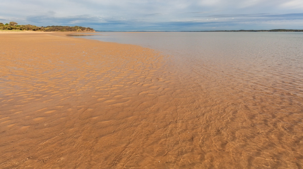 Venus Bay beach, Inverloch, Victoria, Australia; Shutterstock ID 352335386; Purchase Order: -