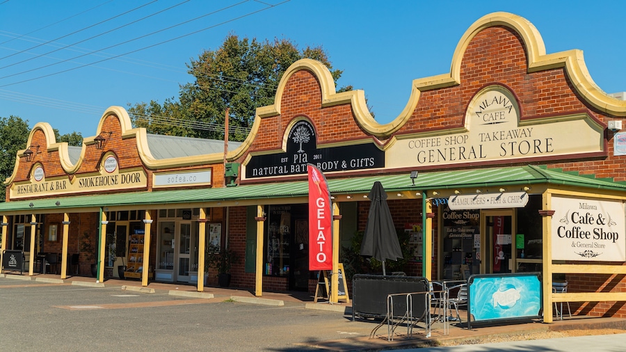 A row of shops including a cafe, a general store, and a smokehouse.