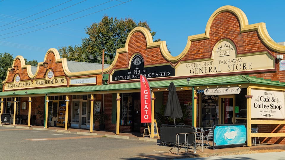 A row of shops including a cafe, a general store, and a smokehouse.