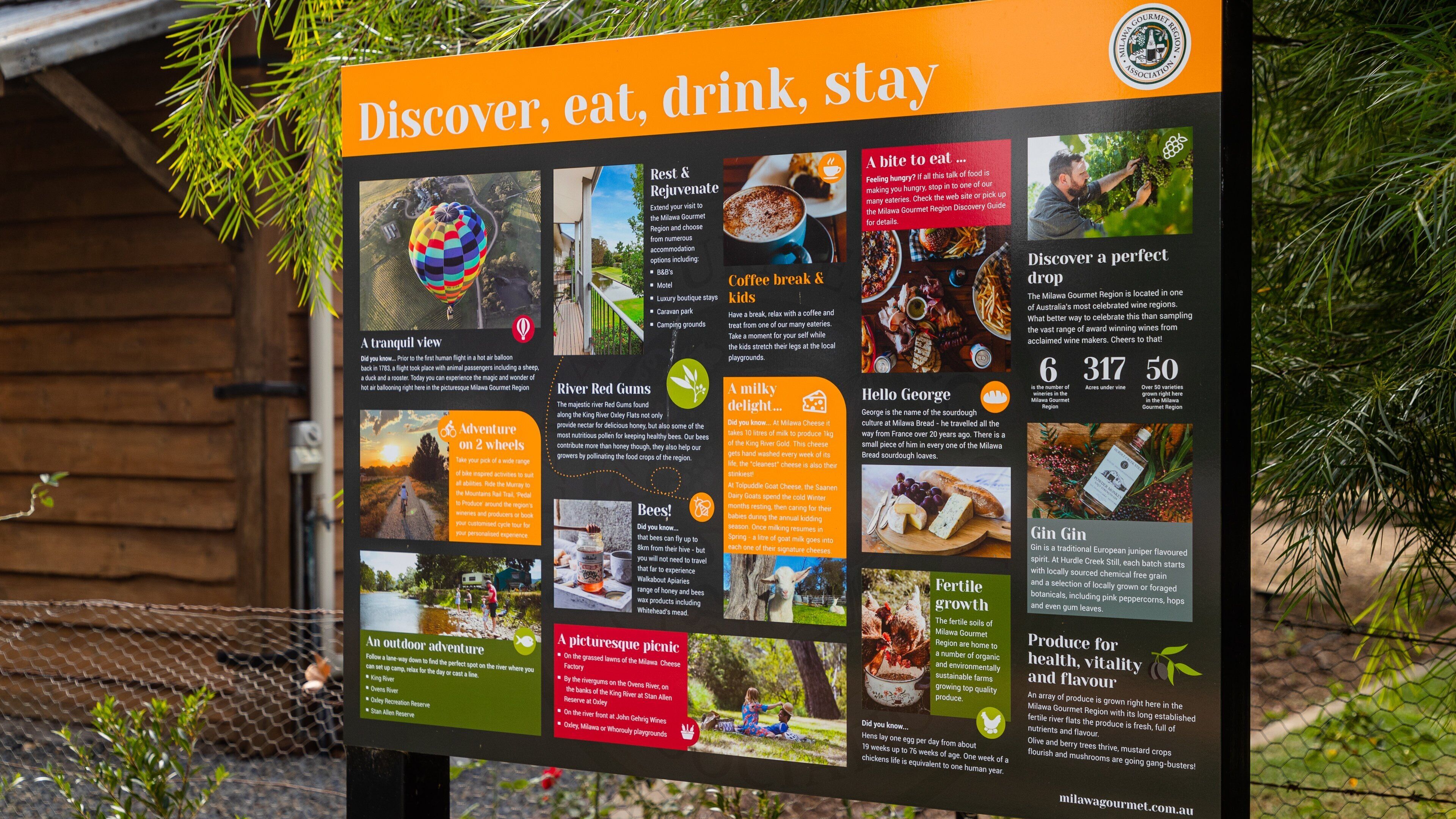 Un cartel con varias secciones que destacan las actividades y características de la Región Gourmet de Milwawa.
